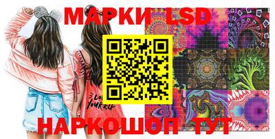 амф Новодвинск