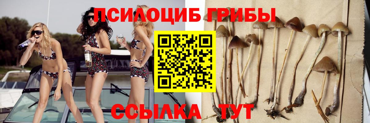 Соль-Илецк  Псилоцибиновые грибы Magic Shrooms  Вход с VPN 